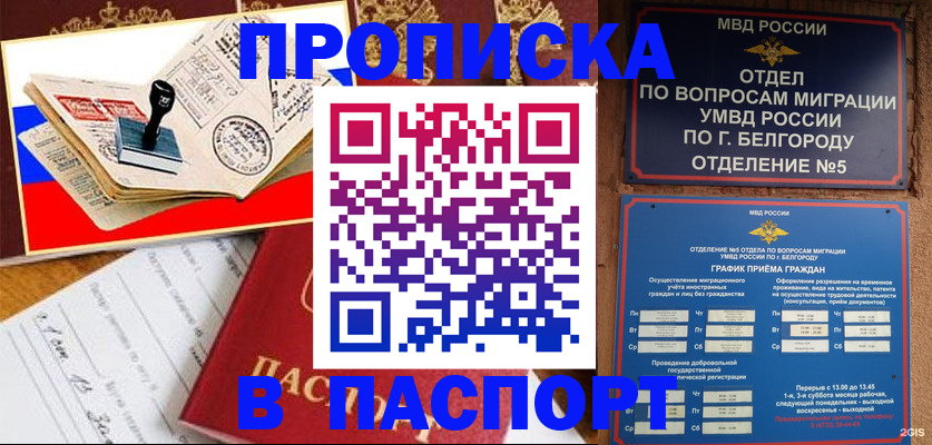купить прописку в Николаевске